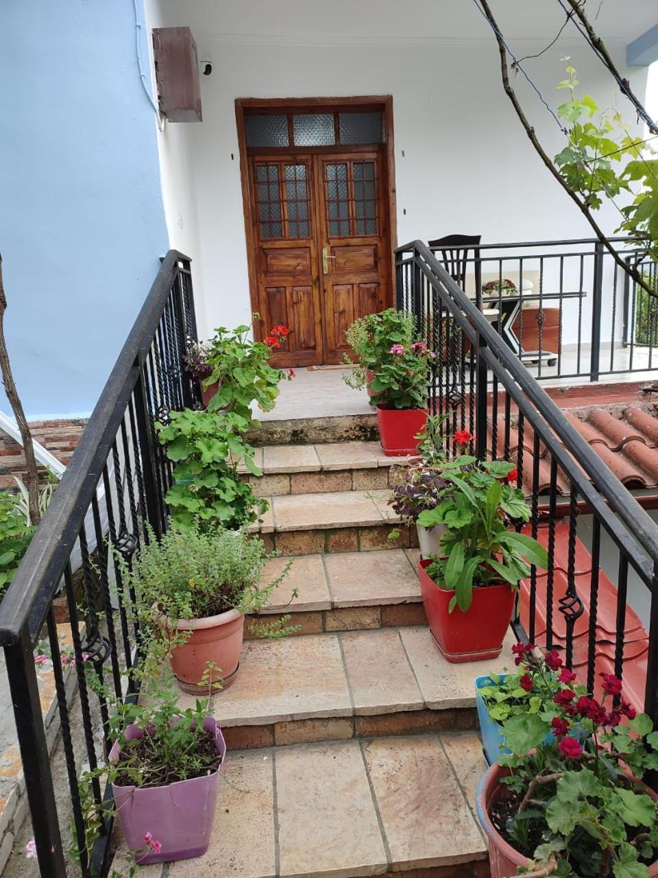 Guest House Eloid Berat Buitenkant foto
